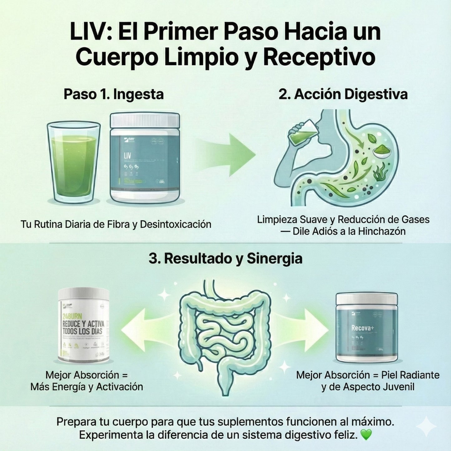 LIV | Detox Digestivo & Vientre Plano (Sabor Manzana Verde)